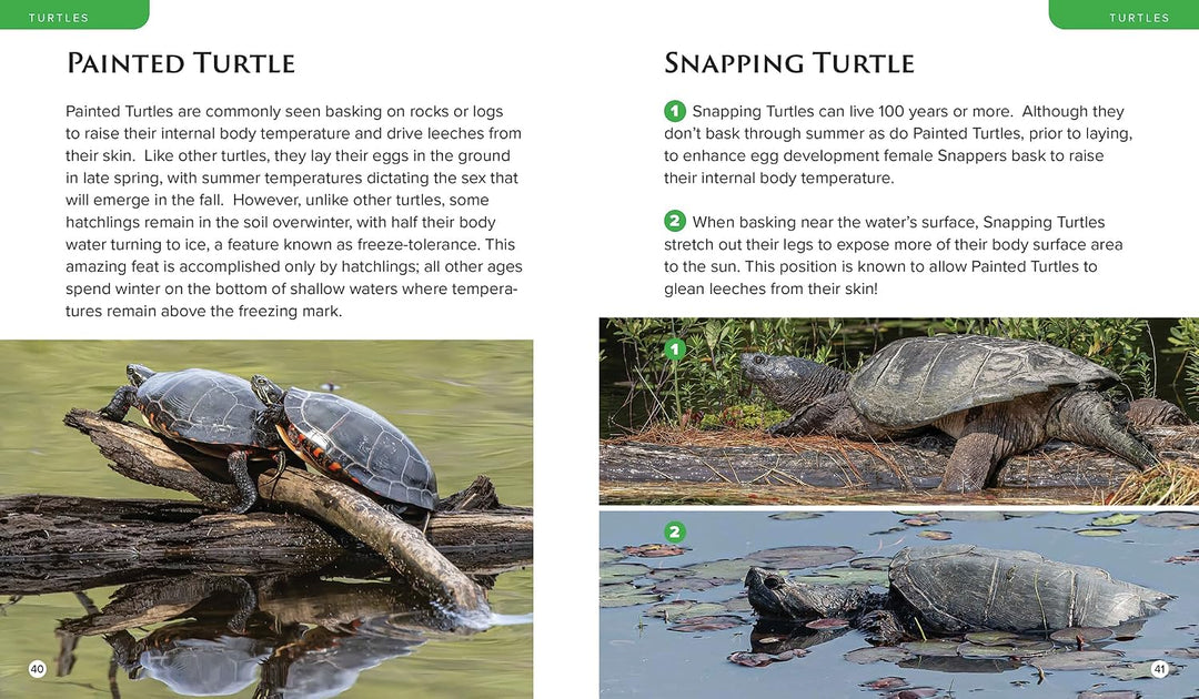 Observing Nature by Canoe and Kayak