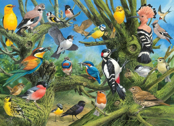 Garden Birds Puzzle