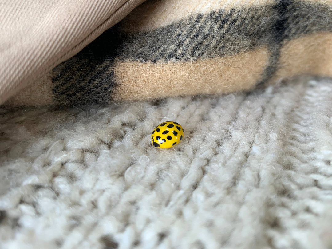 Realistic Yellow Ladybird Pin