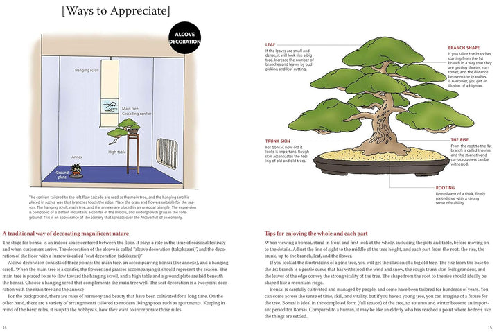 Introduction to Bonsai: The Complete Illustrated Guide for Beginners