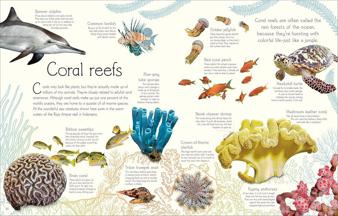 An Anthology of Aquatic Life