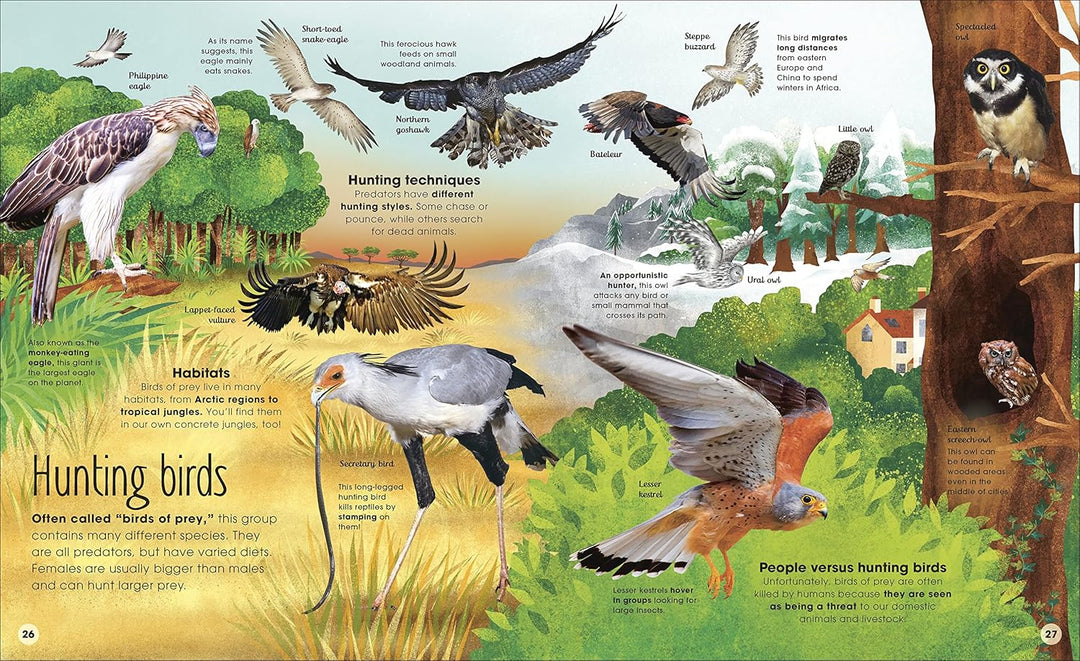 The Extraordinary World of Birds