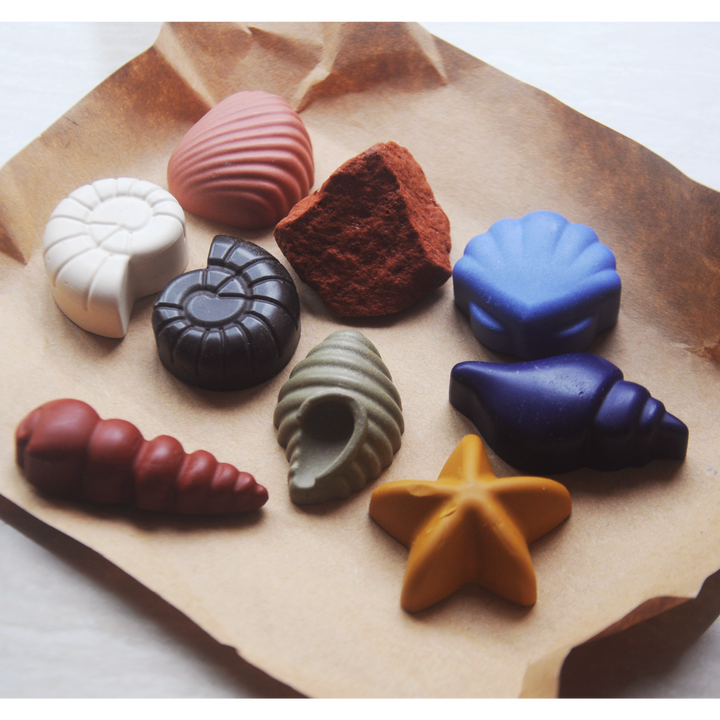 Ocean Shells 8 Natural Beeswax Seashell Crayons in a Handloom Cotton Mini Sack