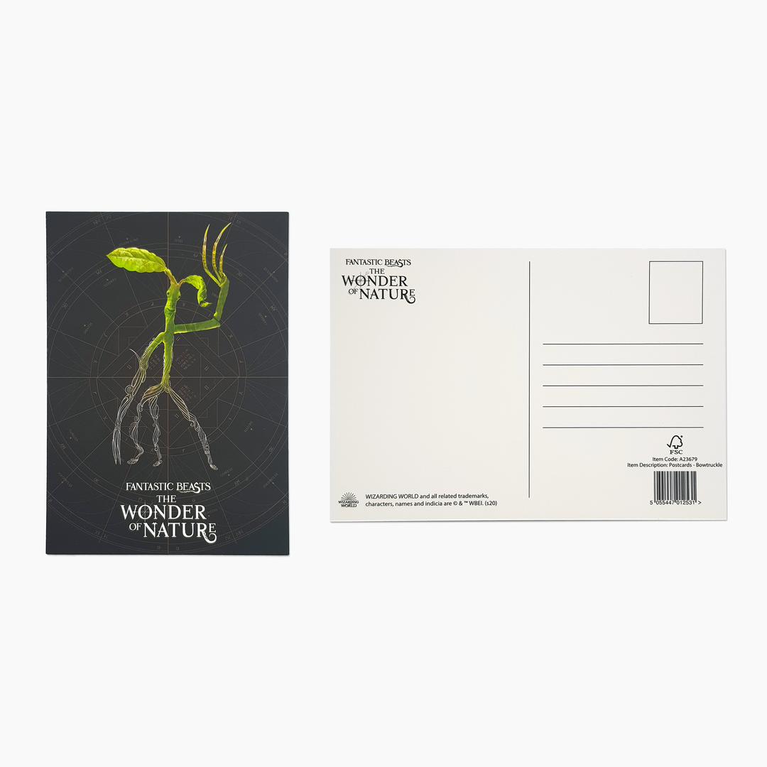 Carte postale Bowtruckle des Animaux Fantastiques™