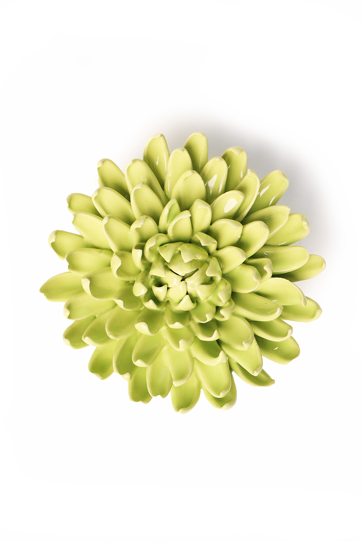Yellow Green PomPom Mum