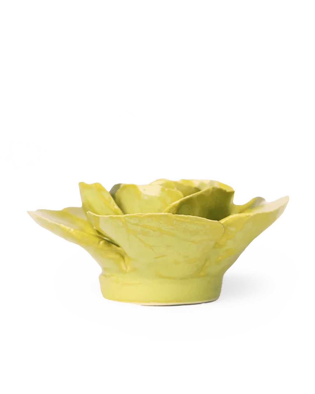 Peridot Stargazer Lily