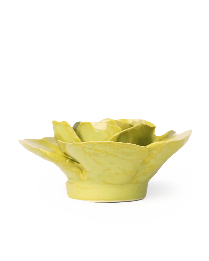 Peridot Stargazer Lily