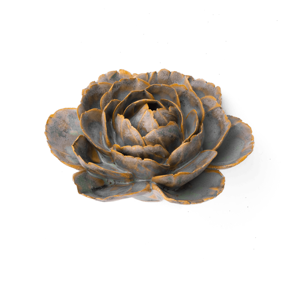 Pale Blue English Rose