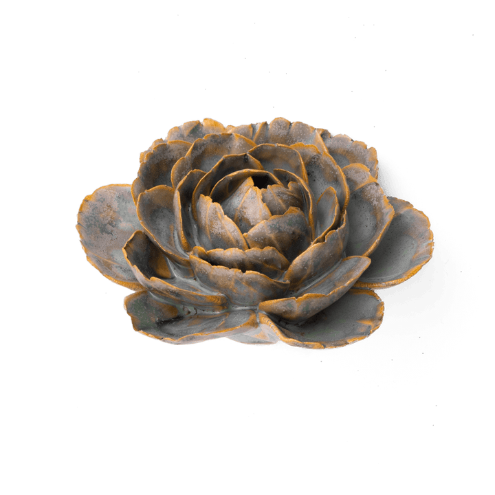 Pale Blue English Rose