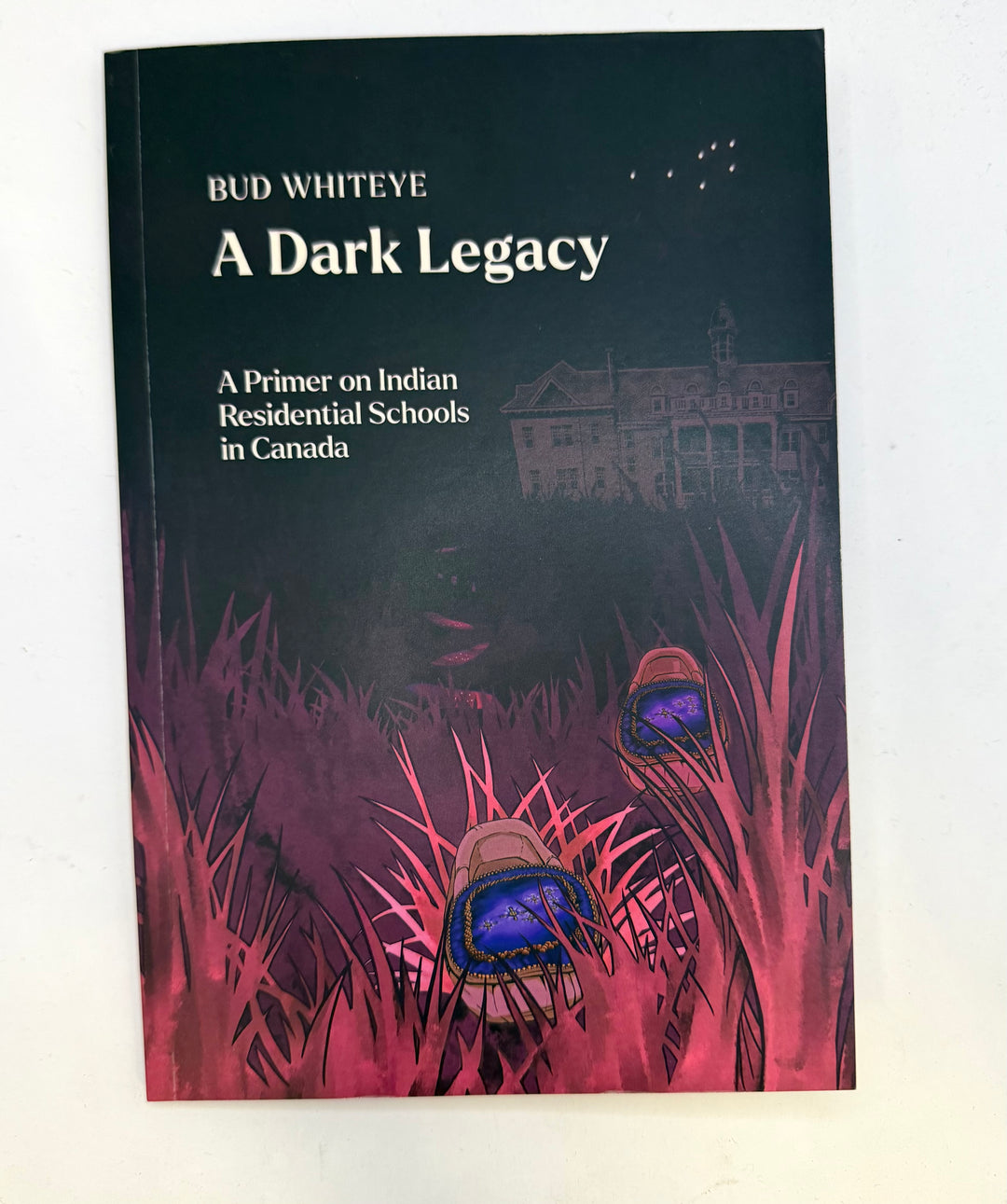 A Dark Legacy