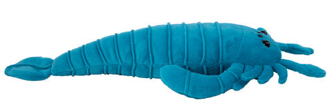 Pterygotus Eurypterid - Paleo Pals