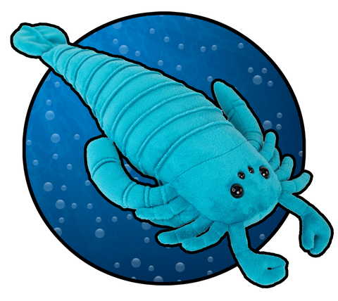 Pterygotus Eurypterid - Paleo Pals
