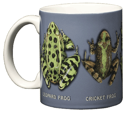 Frog Circle Ceramic Mug
