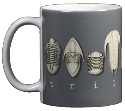 Tasse en céramique Trilobites