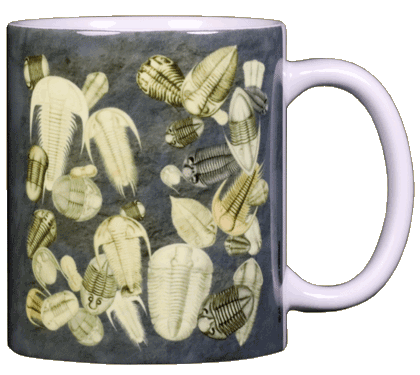 Trilobites Fossils Ceramic Mug
