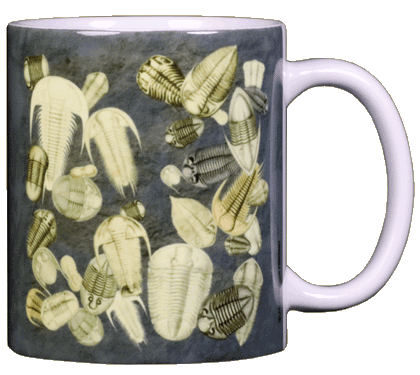 Tasse en céramique de fossiles de trilobites