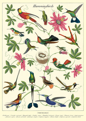 Hummingbirds Wrap Sheet-20" x 28"