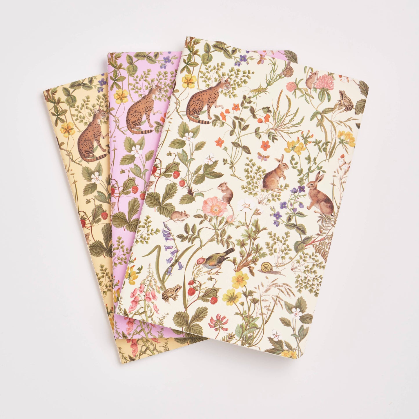 FABLE Meadow Creatures Notebooks - Pack Of 3