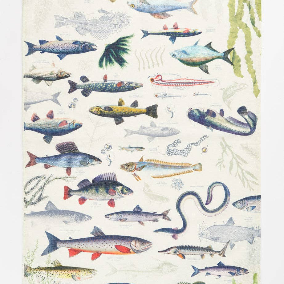 Freshwater Fish Tea Towels