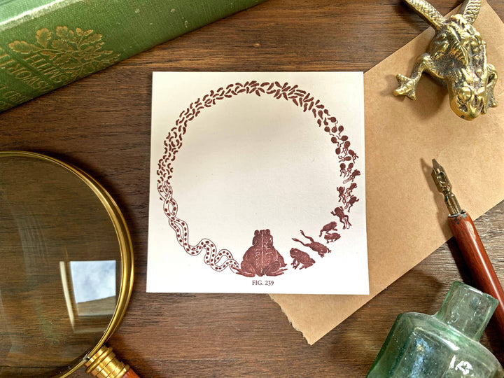 Toad Life Cycle Memo Pad