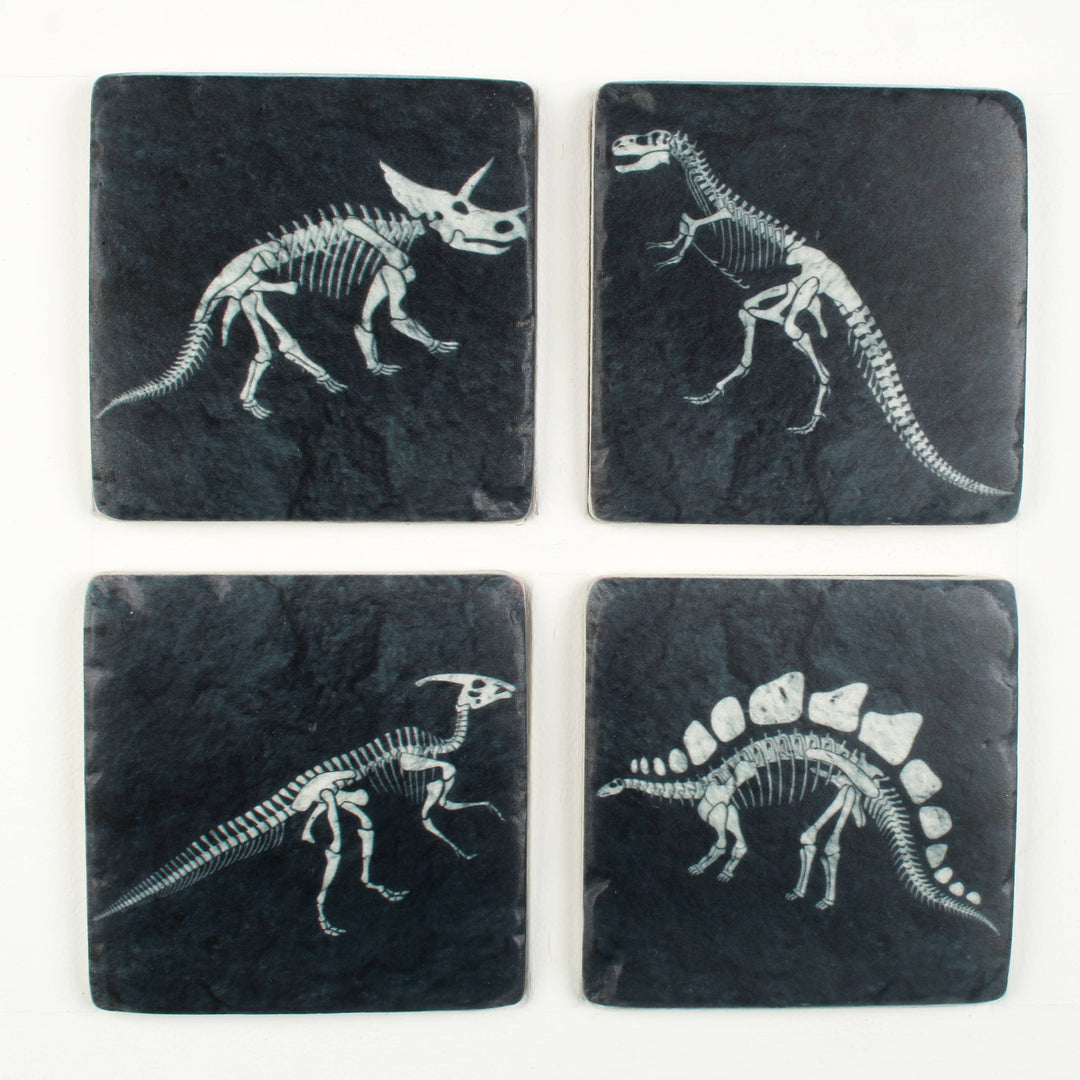 Dinosaur Fossil Coaster Set