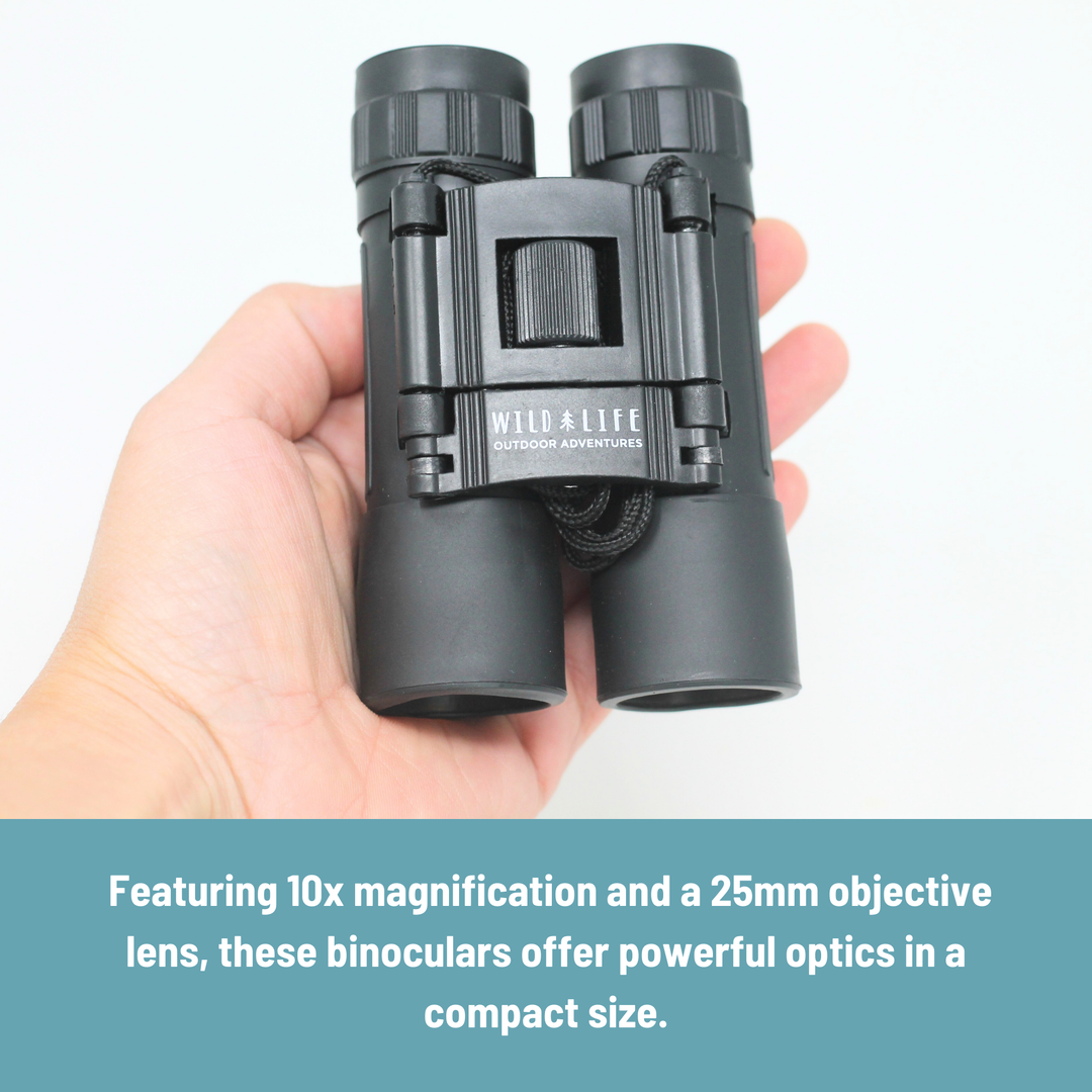 Compact Binoculars 10 x 25 - Adventure Optics