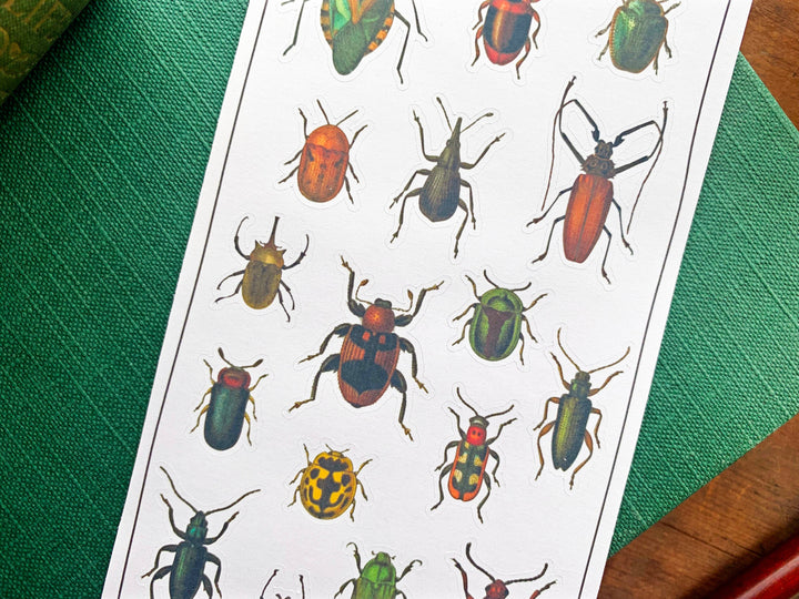 Vintage Beetles Sticker Sheet