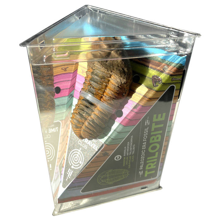 Tremendous Fossil Trilobite: Time Travel Club