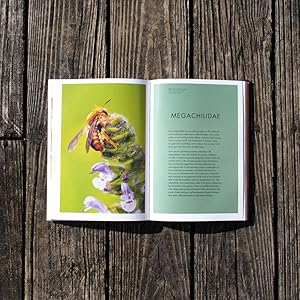 Bees of the World: A Guide to Every Family