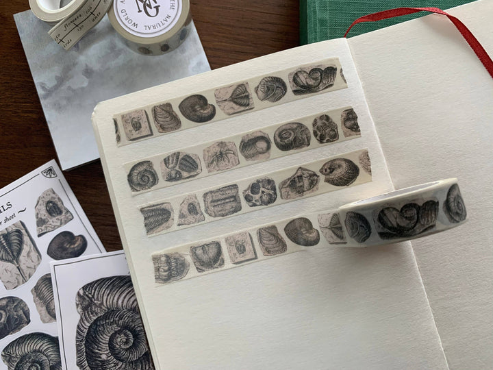 Fossil Washi Tape