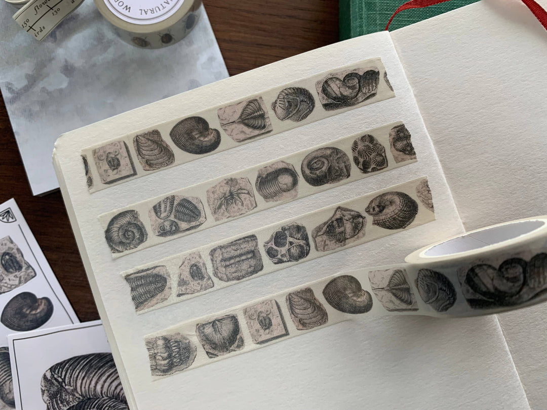 Fossil Washi Tape