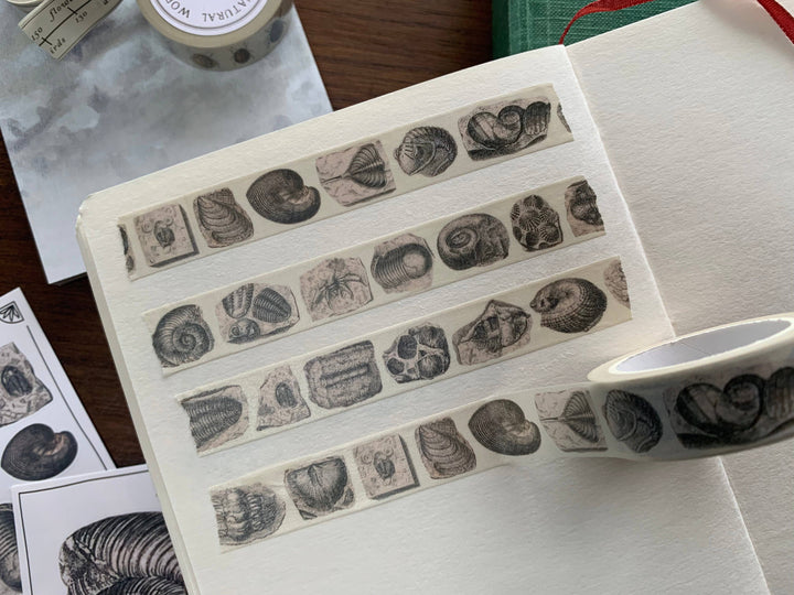 Fossil Washi Tape