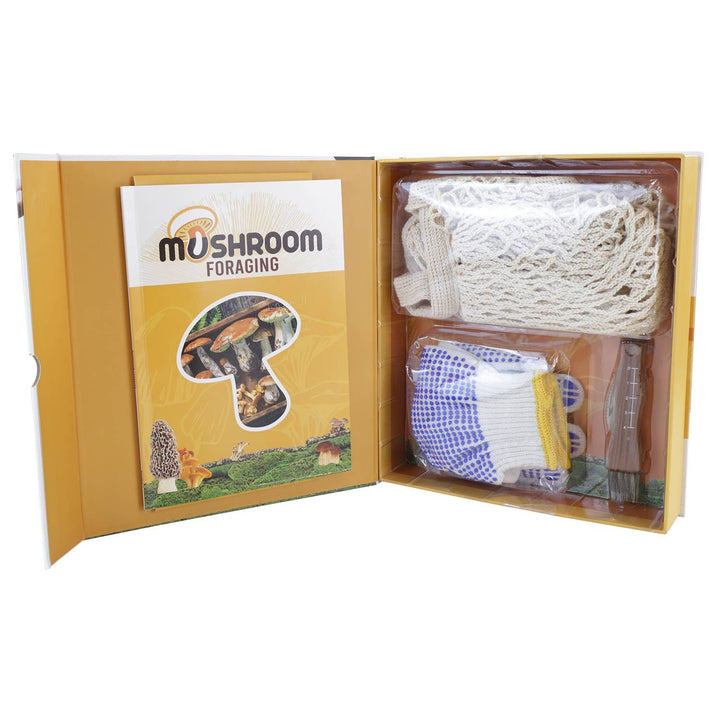 Gift Box Mushroom Foraging