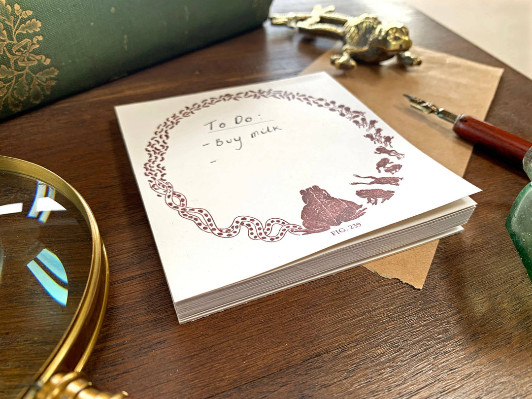 Toad Life Cycle Memo Pad