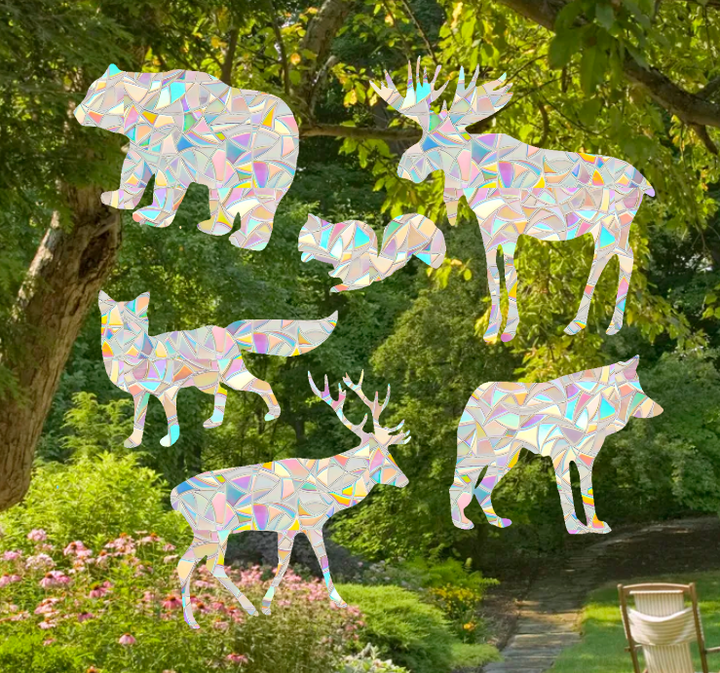 Forest Animal Shape Suncatcher Pack