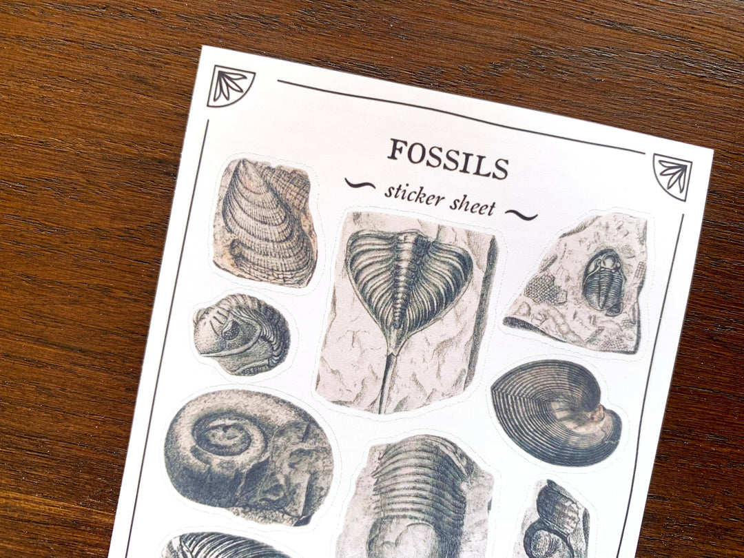 Fossils Sticker Sheet