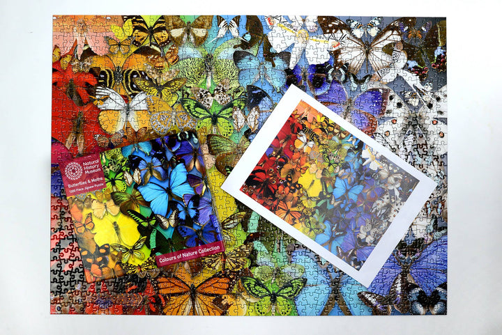 Natural History Museum - Butterflies & Moths 1000 Piece