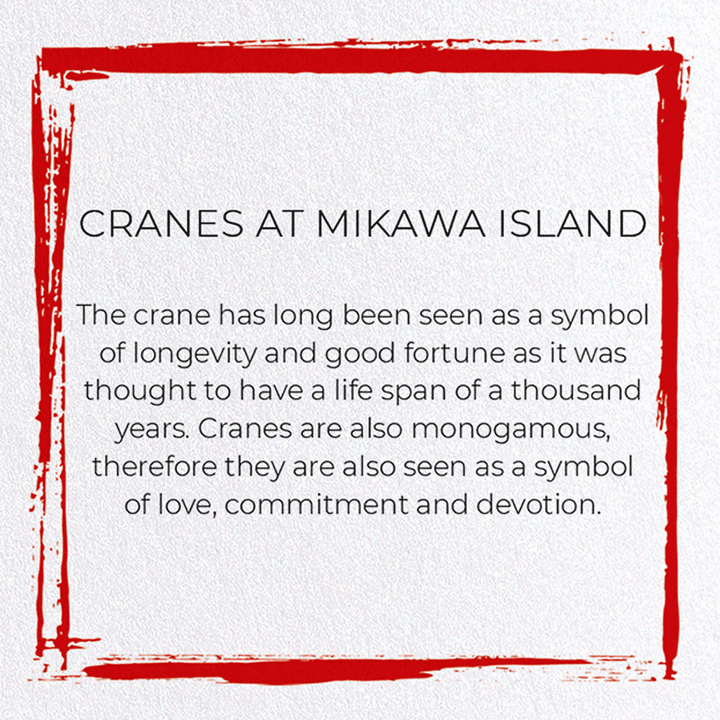 CRANES AT MIKAWA ISLAND: Japanese Greeting Card