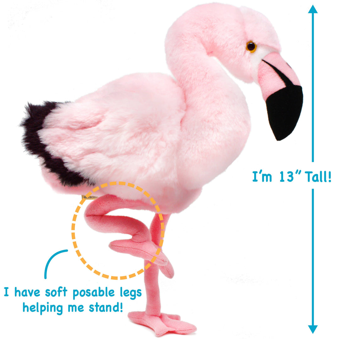 Fay The Flamingo