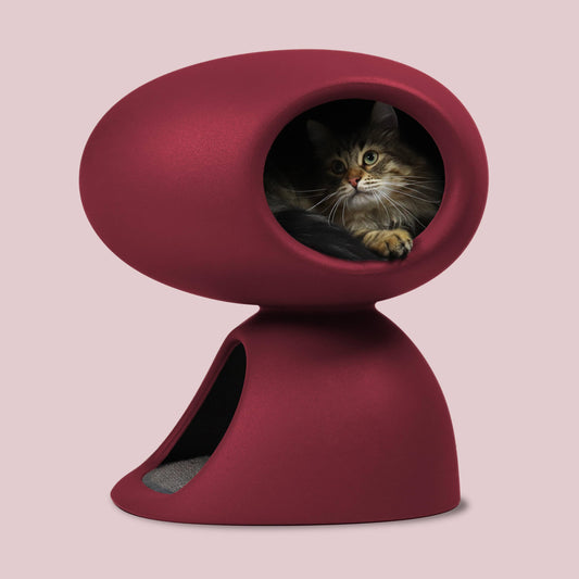 Designer Cat Bed with Scratching Post, Bordeaux