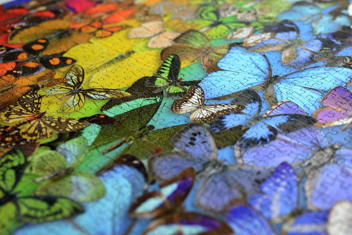 Natural History Museum - Butterflies & Moths 1000 Piece
