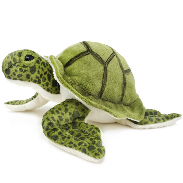 Torques Turtle Turquoise The Green Sea Turtle – ROM Boutique