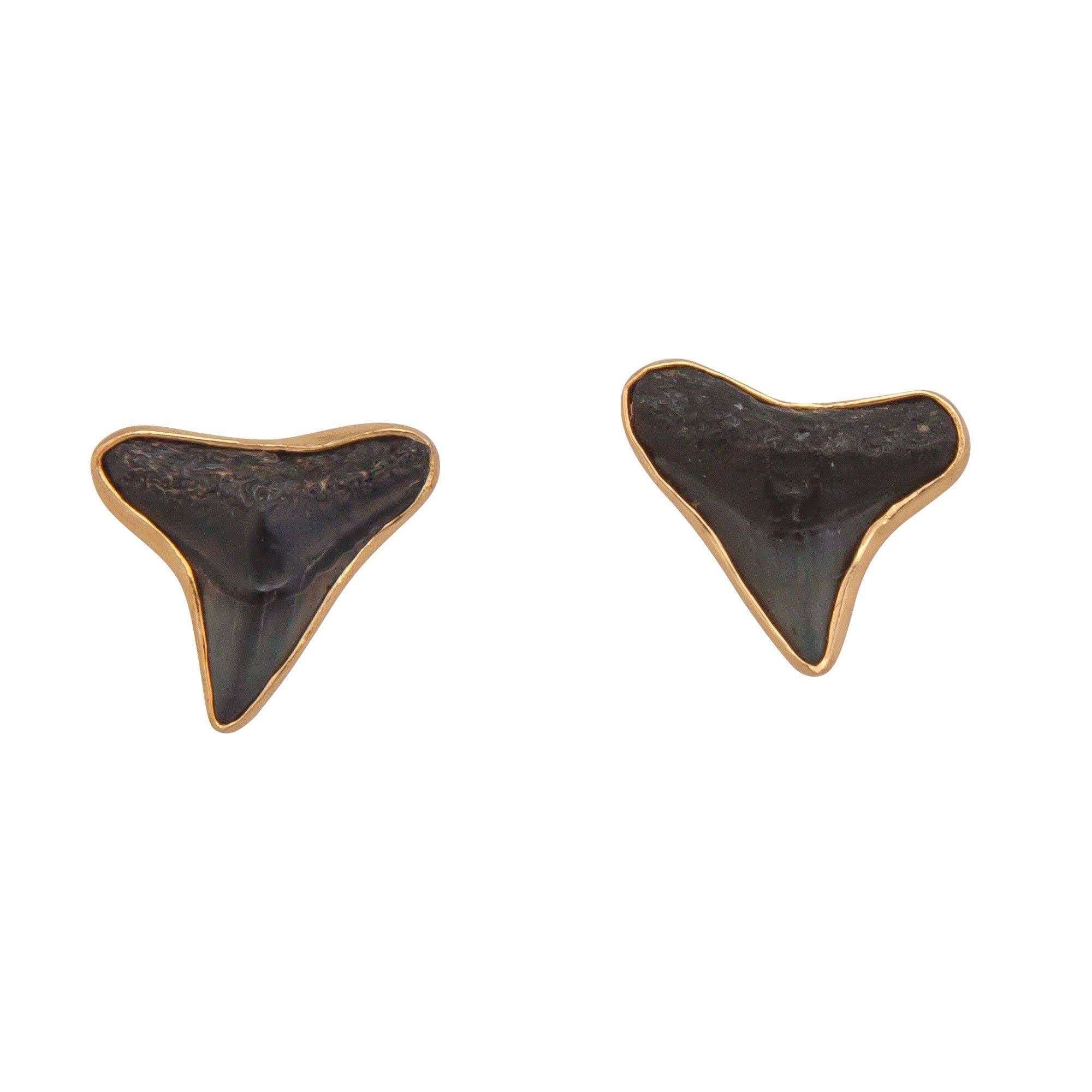 Alchemia Fossil Shark Teeth Post Earrings – ROM Boutique