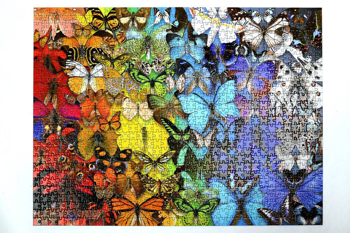 Natural History Museum - Butterflies & Moths 1000 Piece