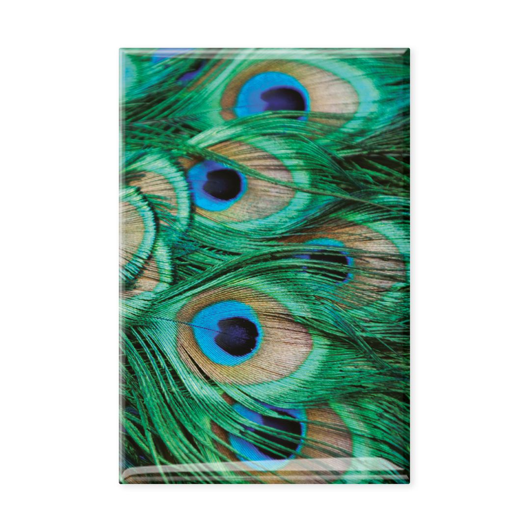 Peacock Feathers Fridge Magnet