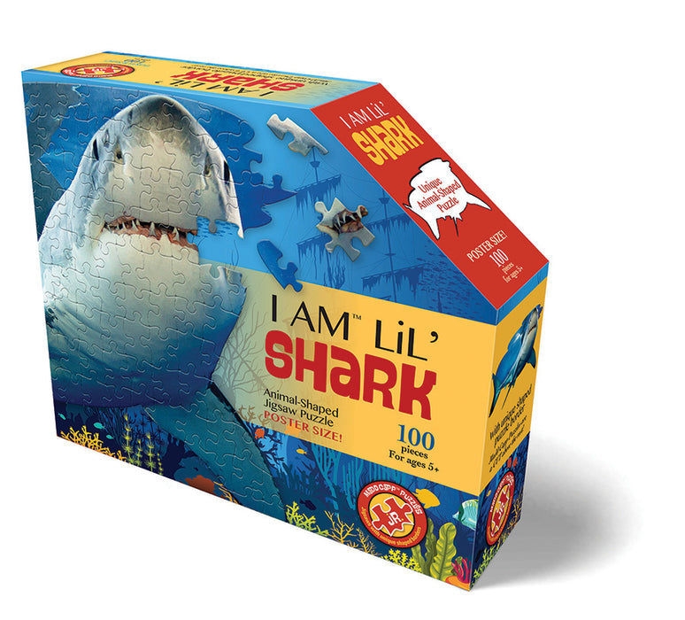 I Am Lil' Shark