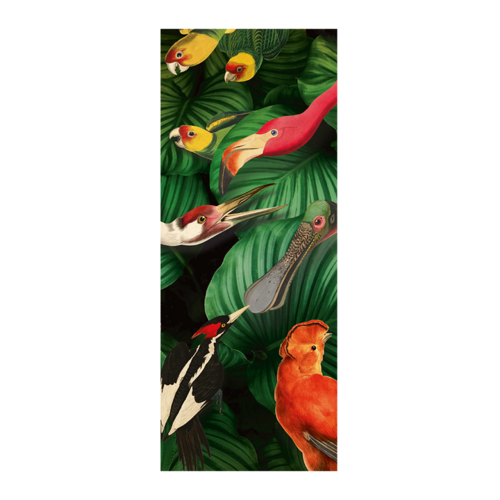 Teylers, Bird Life Scarf chiffon, 100 x 40 cm