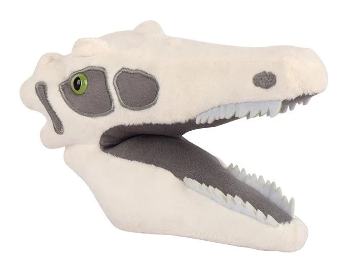 Fuzzy Fossils - Velociraptor Skull