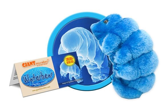 Giant Microbes - Waterbear