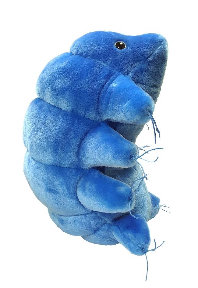 Ours d'eau en peluche gigantesque 15"